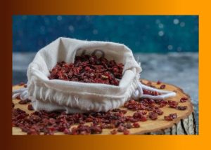 Dry Cranberry Benefits