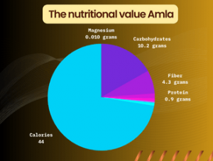 Vitamin C Rich Dry Fruits: Amla